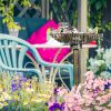 Bird Bath /Bird Feeder Bowl ( Amazon Shipping)(Prohibited by WalMart)