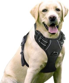 Dog Harness; No-Pull Pet Harness with 2 Leash Clips; Adjustable Soft Padded Dog Vest; Reflective No-Choke Pet Oxford Vest with Easy Control Handl (Color: Cherry Pink, size: X-Large)